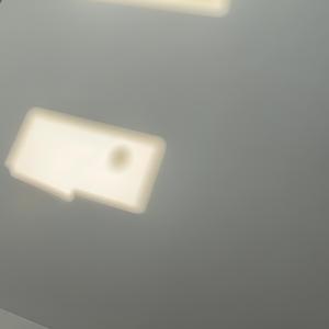 SHE'S LIKE A BIRD (Hoot Version)