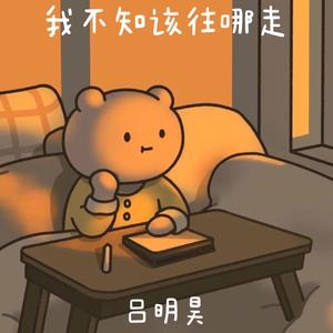 我不知该往哪走