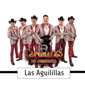 Las Aguilillas