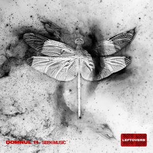 Discotk (feat. Nctk)