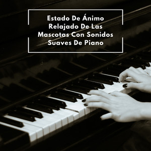 Piano De Mascota Calmante