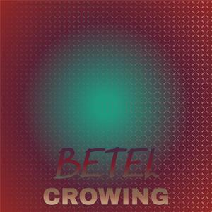 Eyeballing Unseeable