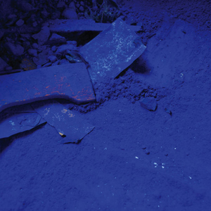 recurrence (transparency.studio)