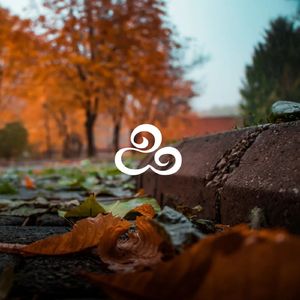 梦幻中的仙境（治愈钢琴曲）