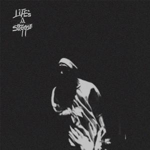 life's a struggle(Shout out to Shawn)