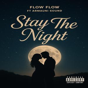 Stay The Night (feat. Armauni Sound)