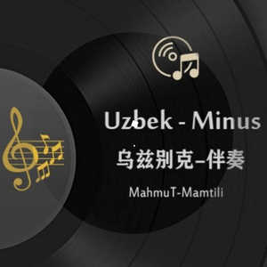 Sevmasam 伴奏（翻自 Sardor Tairov）