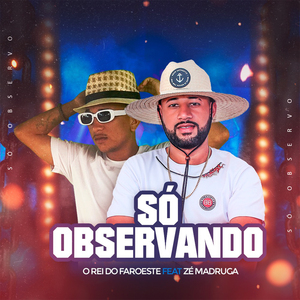 Só Observando