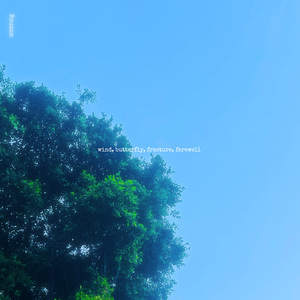 wind, butterfly, fracture, farewell.