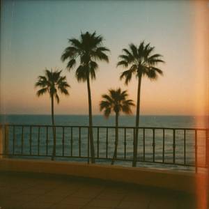 Palmeras