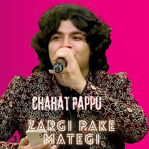 Zargi Pake Mategi
