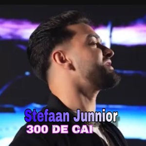 300 DE CAI