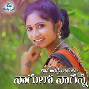 Kamareddy Roduku Nagulo Naganna