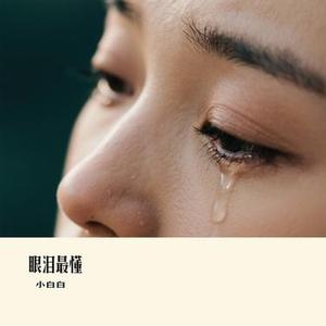 眼泪最懂 (Cover 六哲)