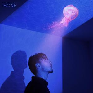 Pass(i)ons (feat. Maelle)