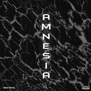 AMNESIA