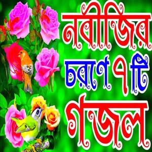 খুবই দুঃখের নবীজির চরণে ৭টি গজল