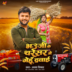 Bhauji Ke Tharesar Me Gehu Davai