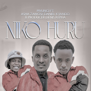 Niko Huru
