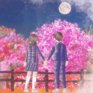 月がきれい（惟梦 remix）