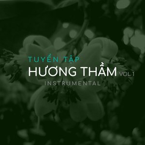 Tình thầy ánh đạo (Instrumental)