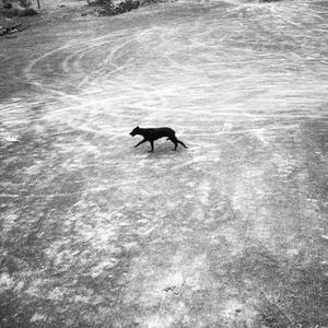 Nunca es mañana, siempre es hoy