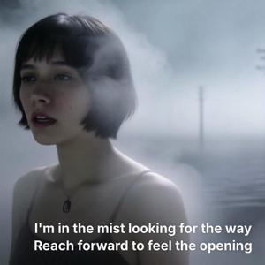 I'm in the Mist Looking