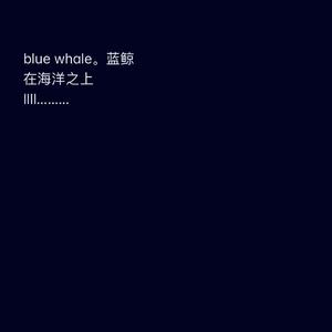 海洋之上Blue Whale