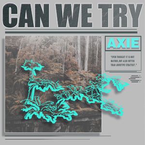 Can We Try