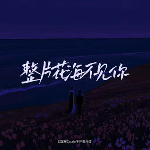 整片花海不见你 (合唱版DjYaha)