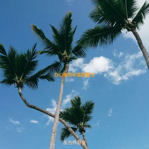 适合居家办公浪漫的音乐