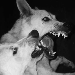 Nightcrawler (166 bpm)