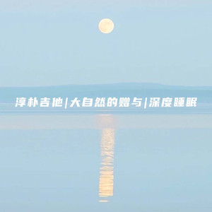 NO.3 吉他 梦境森林