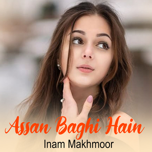 Assan Baghi Hain