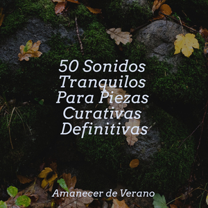 Melodías Trascendentales Eternas