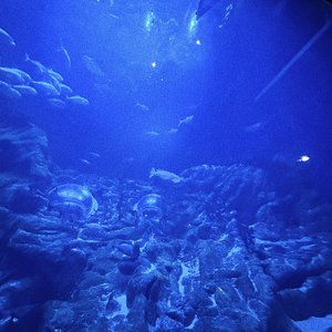 精神有问题（prod by Poster Lee