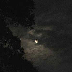 Bi Rüyanın İşgali