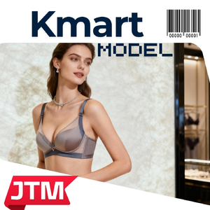Kmart Model