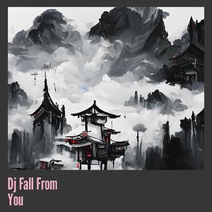 Dj Fall from You