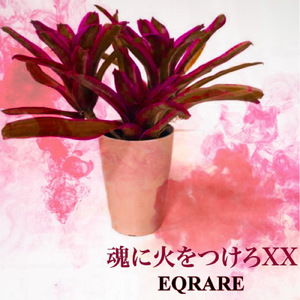 魂に火をつけろXX