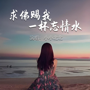 求佛赐我一杯忘情水