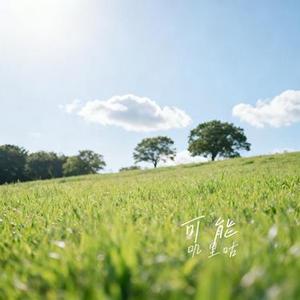 可能 (Cover 程响)