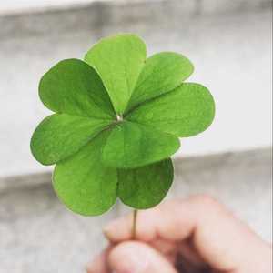 你被写在我的歌里（Cover 吴清风）