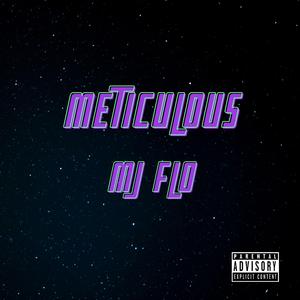 Meticulous