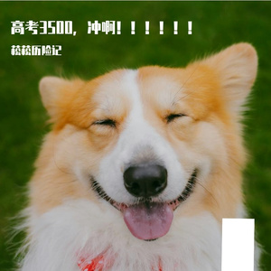 Confused（Pro. 葵）