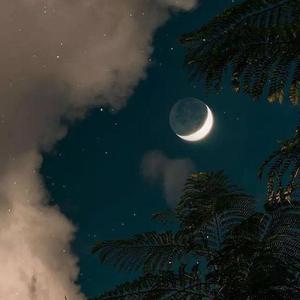 孤单心事（抖音片段）