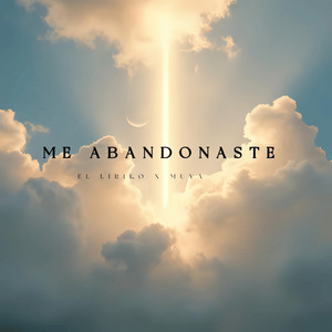 Me Abandonaste
