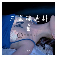 刘皇叔蹦迪抖音之来瓶威士忌 (DJ版)