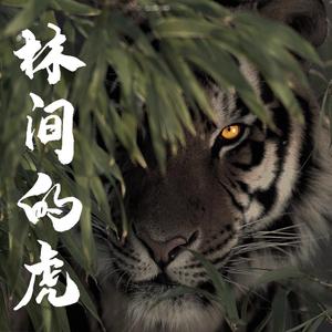 林间的虎