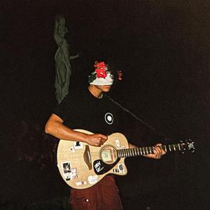 so i drove home. (demo)